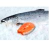 salmon-entero-3kg-pescadoacasa