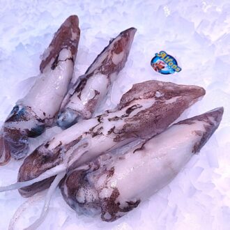Calamar fresco de 100 a 200 g. Ideal para plancha, fritura, relleno y arroces. Compra pescado online en Pescado a Casa.