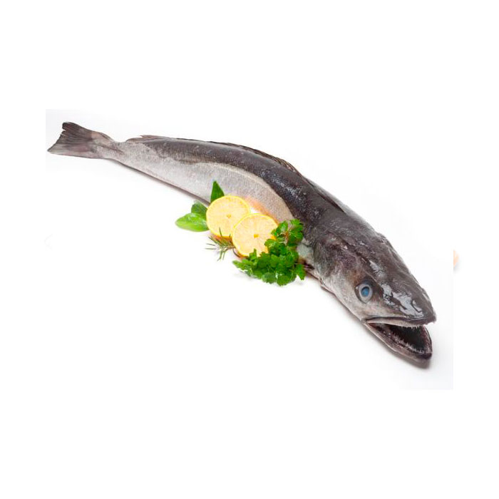 merluza palangre pescadoacasa