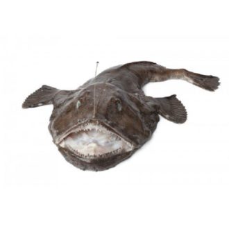 rape-entero-2.5kg-pescadoacasa