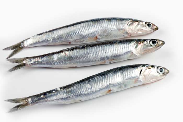 boqueron_pescado_a_casa