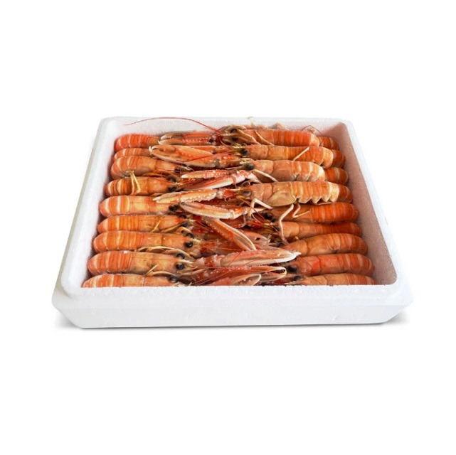 Cigala nº2 congelada a bordo – Marisco para plancha y arroces Cigala nº2 fresca congelada a bordo lista para plancha – Pescado A Casa