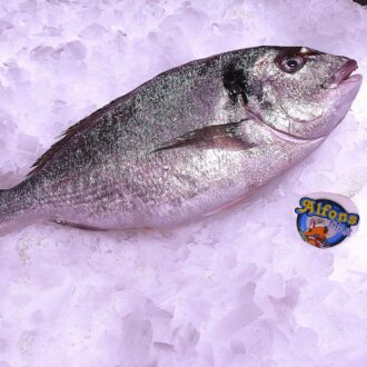 Dorada fresca de 550 g. Compra pescado fresco online con envío refrigerado a domicilio. Pescadería online Pescado a Casa.