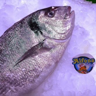 Dorada fresca de 800 g. Compra pescado fresco online con envío refrigerado a domicilio. Pescadería online Pescado a Casa.