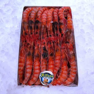 Gamba roja listada fresca 40/50 a granel. Marisco fresco de gran calidad para arroces, plancha y guisos. Compra online en Pescado a Casa.