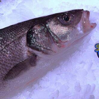 Lubina fresca de 800 g. Compra pescado fresco online con envío refrigerado a domicilio. Pescadería online Pescado a Casa.