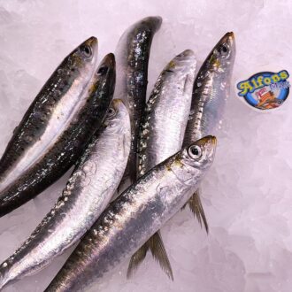 Sardinas frescas del Mediterráneo. Compra pescado azul fresco online con envío refrigerado a domicilio. Pescadería online Pescado a Casa.