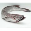 merluza-arrastre-1.5-pescadoacasa
