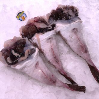 Colita de rape fresca 200-300 g. Compra pescado blanco fresco online con envío refrigerado a domicilio. Pescadería online Pescado a Casa.