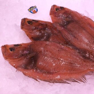 Gallito fresco 100/200 g, pescado blanco ideal para freír, plancha o al horno. Comprar pescado fresco online con envío refrigerado a domicilio.