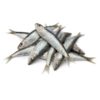sardina-costa-pescadoacasa