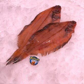 Lenguadina fresca. Compra lenguadina online con envío refrigerado a domicilio. Pescadería online Pescado a Casa.