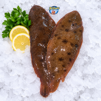 Lenguado fresco de 200 a 300 gramos sobre hielo, seleccionado por Pescado a Casa.