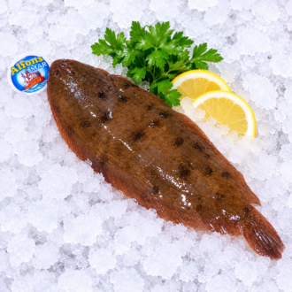 Lenguado fresco de 400 a 500 gramos sobre hielo, seleccionado por Pescado a Casa.