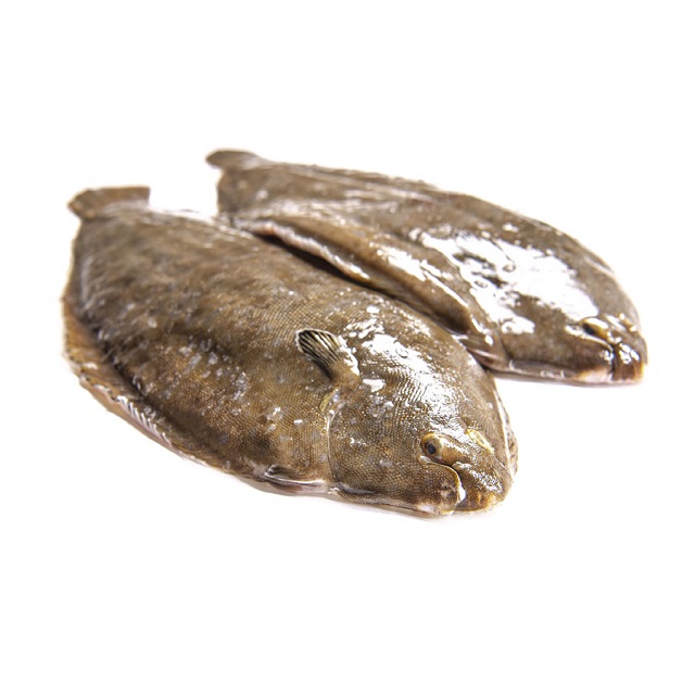 Lenguado 200/300 fresco – Pescado A Casa Lenguado fresco 200/300 g del Mediterráneo – pescado blanco de proximidad | Pescado A Casa