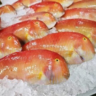 Loritos o raors frescos