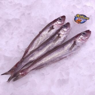 Maira fresca de Cádiz. Compra maira online con envío refrigerado a domicilio. Pescadería online Pescado a Casa.