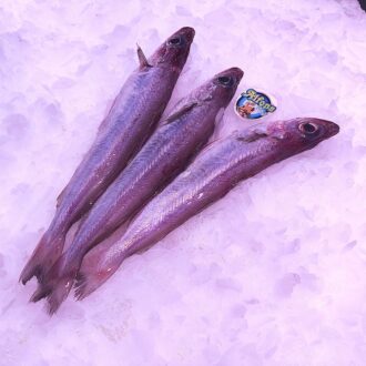 Maira fresca de Rosas. Compra maira online con envío refrigerado a domicilio. Pescadería online Pescado a Casa.