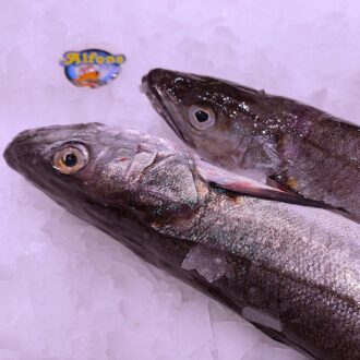 Pescadilla fresca. Compra pescado blanco fresco online con envío refrigerado a domicilio. Pescadería online Pescado a Casa.