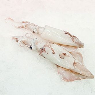 calamar-nacional-pequeño-pescadoacasa-jpg