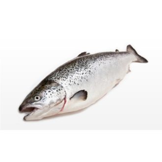 salmon-4kg-pescadoacasa
