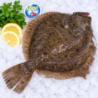 Rodaballo fresco de 1,2 kg sobre hielo picado con el distintivo de Alfons Mar