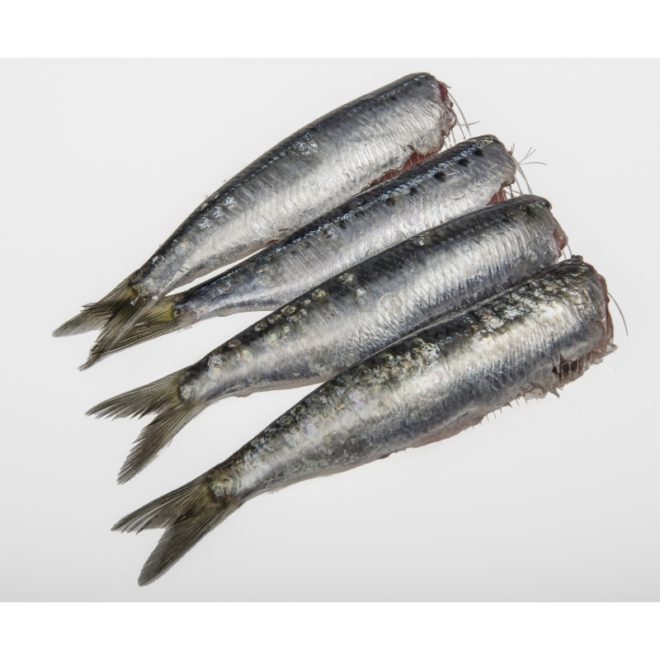sardina-eviscerada-y-sin-cabeza