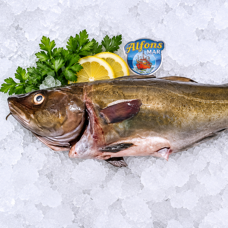 bacalao-fresco-1-5-kg-pescado-a-casa
