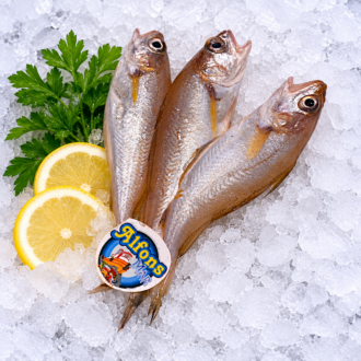 Molleras frescas enteras presentadas sobre hielo en Pescado a Casa