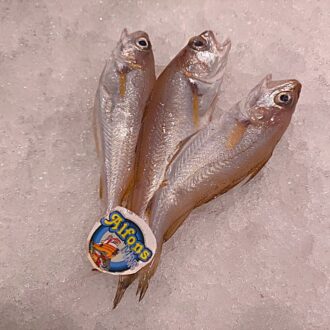 Molleras frescas