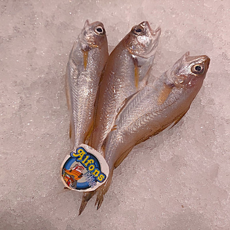 Molleras frescas
