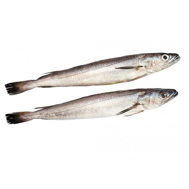 Pescadilla 200–400 g – Pescado fresco listo para cocinar Pescadilla fresca 200–400 g del Golfo de Cádiz y Francia | Pescado A Casa