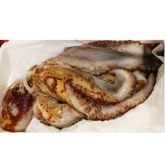 pulpo-fresco-3kg-pescadoacasa