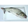 lubina-salvaje-1kg-pescadoacasa