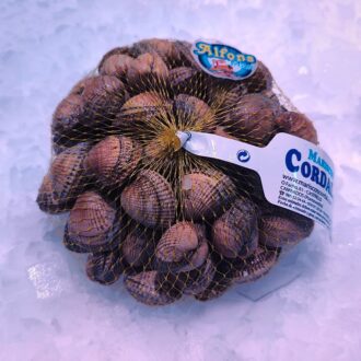 Berberecho gallego fresco. Compra berberechos frescos online con envío refrigerado a domicilio. Pescadería online Pescado a Casa.