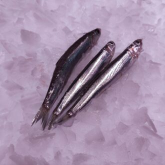Boquerón mediano fresco del Mediterráneo | Comprar pescado fresco online | Pescado a Casa