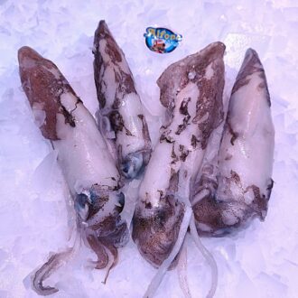 Calamar fresco de 200 a 300 g. Perfecto para plancha, guisos, arroces y recetas tradicionales. Compra online en Pescado a Casa.