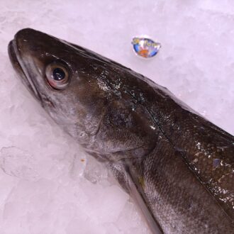 Pescado de palangre fresco 2 kg en oferta. Compra pescado fresco online con envío refrigerado a domicilio.