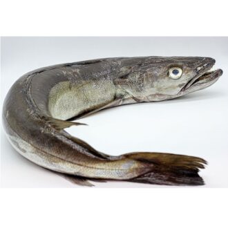 merluza de palangre 2 kg en oferta compra online