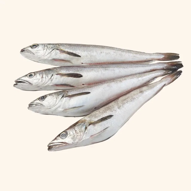 Pescadilla pijota 40–100 g – Pescado fresco de proximidad Pescadilla pijota 40–100 g fresca del Mediterráneo y Atlántico | Pescado A Casa