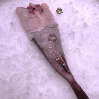 Cola de rape fresca 1 kg en oferta. Compra pescado blanco fresco online con envío refrigerado a domicilio. Pescadería online Pescado a Casa.