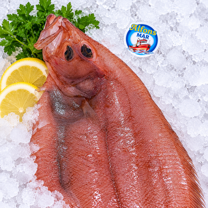 Gallo fresco de 1 kg | Pescado a Casa Gallo fresco de aproximadamente 1 kg sobre hielo picado, con limón, perejil y distintivo Alfons Mar