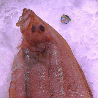 Gallo fresco de 1 kg. Compra pescado fresco online con envío refrigerado a domicilio. Pescadería online Pescado a Casa.