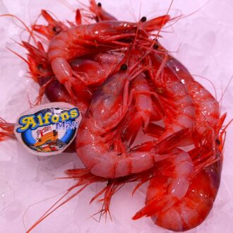 Gamba de Palamós grande fresca. Marisco premium de la Costa Brava, ideal para plancha, arroces y mariscadas. Compra online en Pescado a Casa.