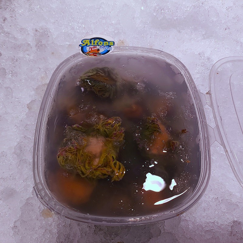 ortiguillas-frescas-500g-pescado-a-casa-tarrina