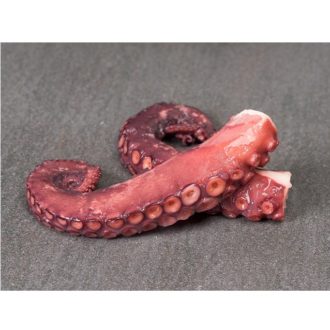 pulpo pata gruesa