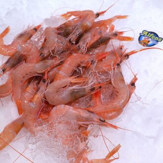 Gamba blanca fresca de alta calidad. Compra marisco fresco online con envío refrigerado a domicilio. Pescadería online Pescado a Casa.