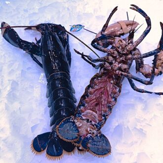 Bogavante del país de 500 g en oferta. Compra bogavante fresco online con envío refrigerado. Pescadería Pescado a Casa.