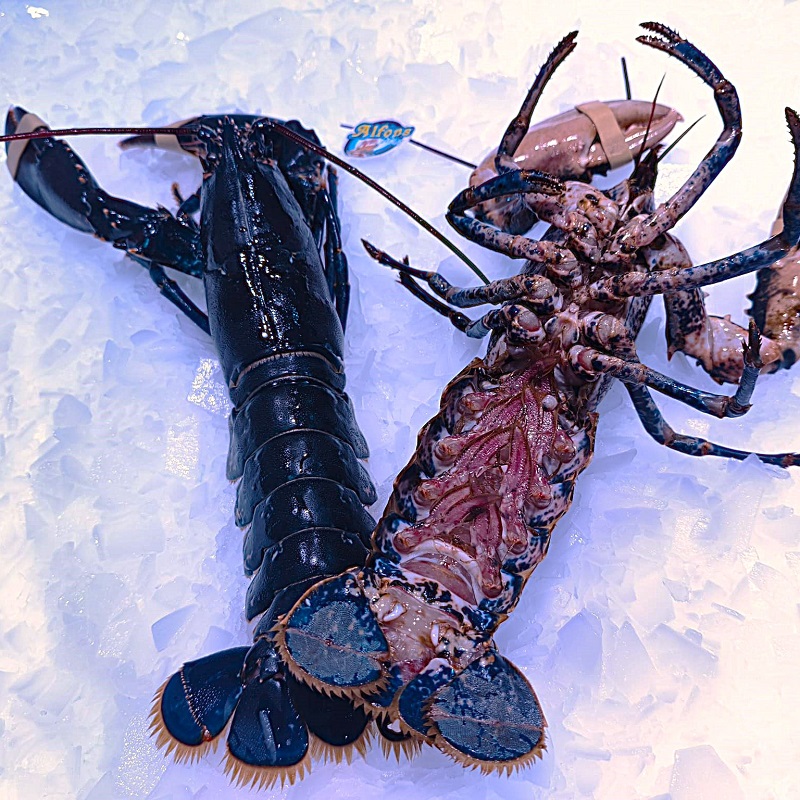 Bogavante del País 500 g Oferta | Marisco fresco | Pescado a Casa Bogavante del país de 500 g en oferta. Compra bogavante fresco online con envío refrigerado. Pescadería Pescado a Casa.