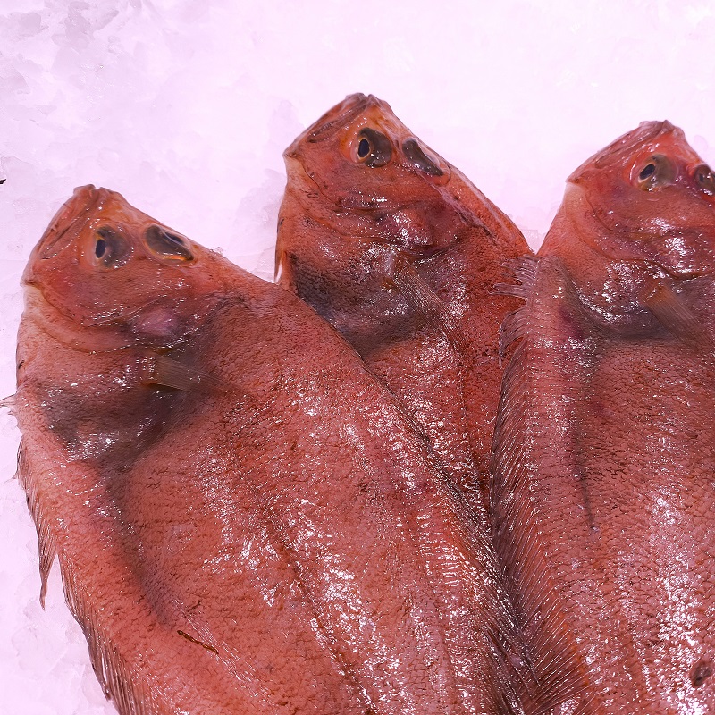 Gallo Fresco 400 g | Pescado A Casa Gallo fresco 400 g, pescado blanco de carne fina ideal para plancha, horno o frito. Comprar pescado fresco online con envío refrigerado.